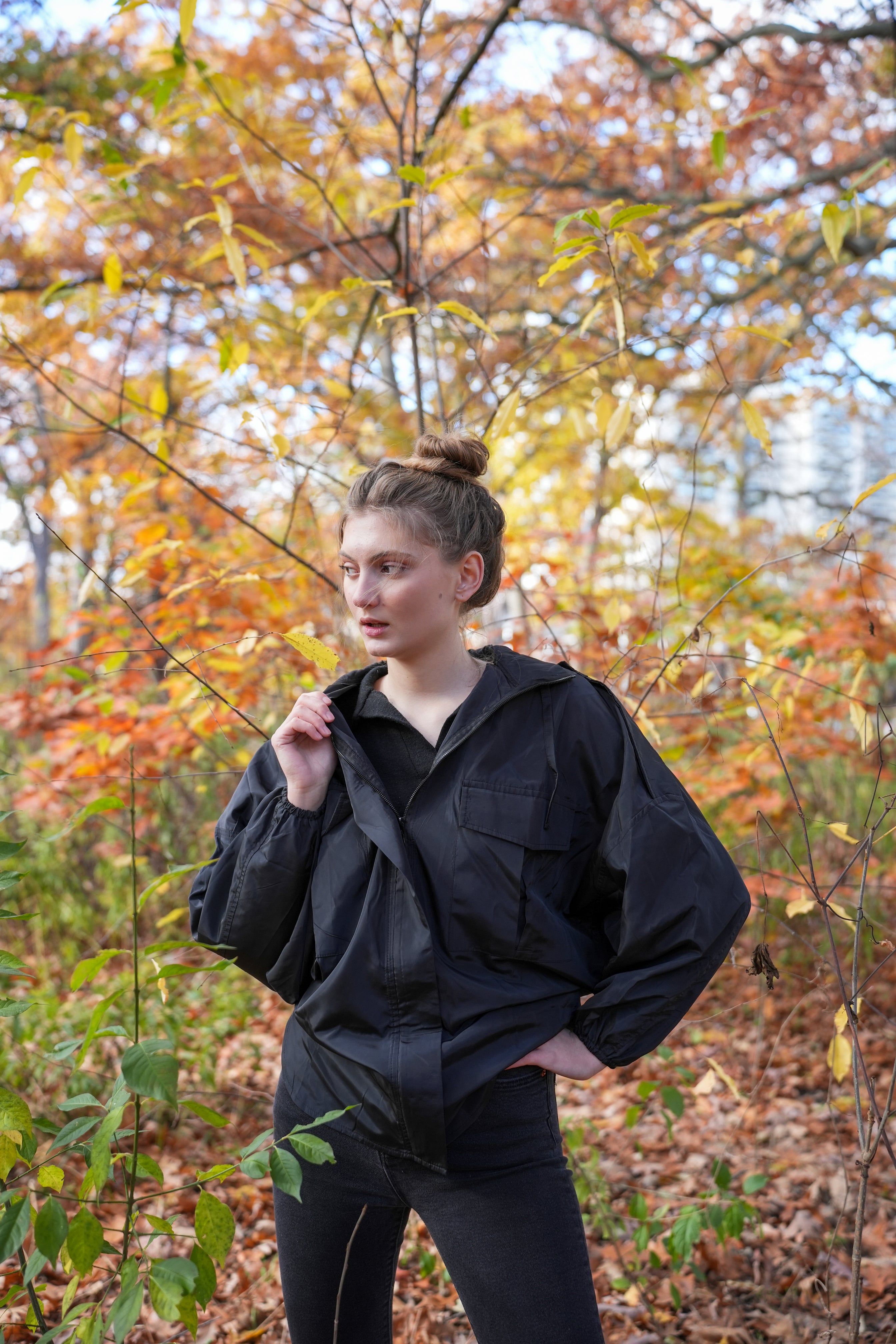 The Fall Jacket